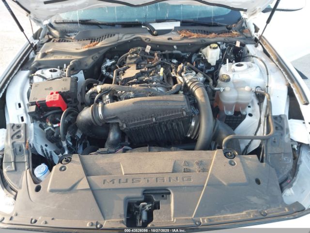 2024 FORD MUSTANG 1FA6P8TH0R5105570 Photo 9