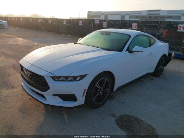 2024 FORD MUSTANG 1FA6P8TH0R5105570 Photo 1