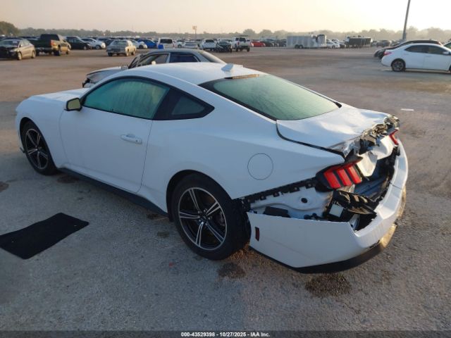 2024 FORD MUSTANG 1FA6P8TH0R5105570 Photo 2