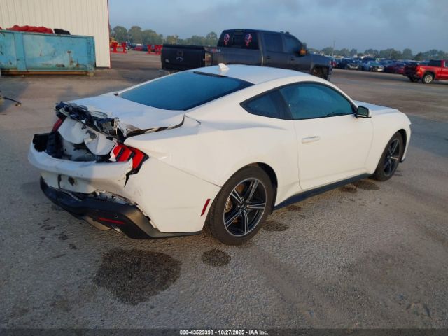 2024 FORD MUSTANG 1FA6P8TH0R5105570 Photo 3