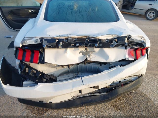 2024 FORD MUSTANG 1FA6P8TH0R5105570 Photo 5