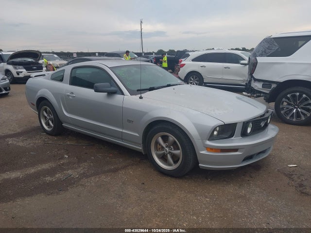 2006 FORD MUSTANG 1ZVHT82H365113011