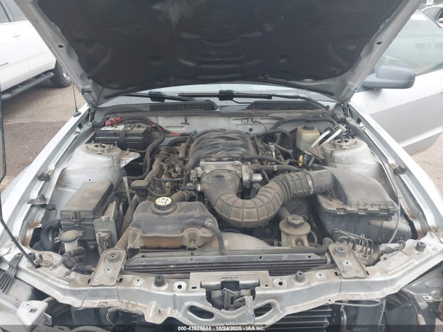 2006 FORD MUSTANG 1ZVHT82H365113011 Photo 9