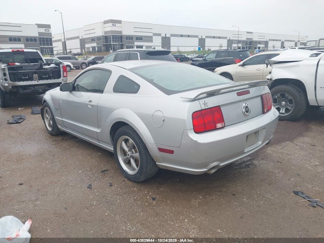 2006 FORD MUSTANG 1ZVHT82H365113011 Photo 2