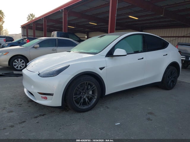 2024 TESLA MODEL Y 7SAYGDEE3RF182045 Photo 1