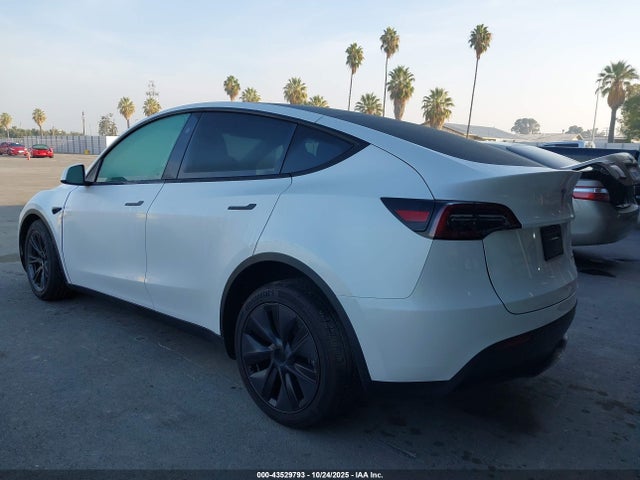 2024 TESLA MODEL Y 7SAYGDEE3RF182045 Photo 2