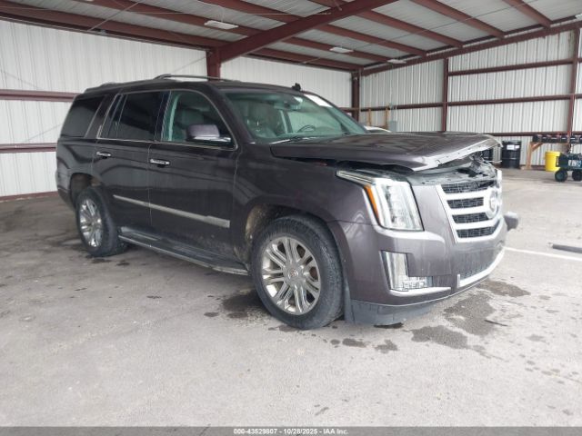 2015 CADILLAC ESCALADE 1GYS4AKJ9FR187388
