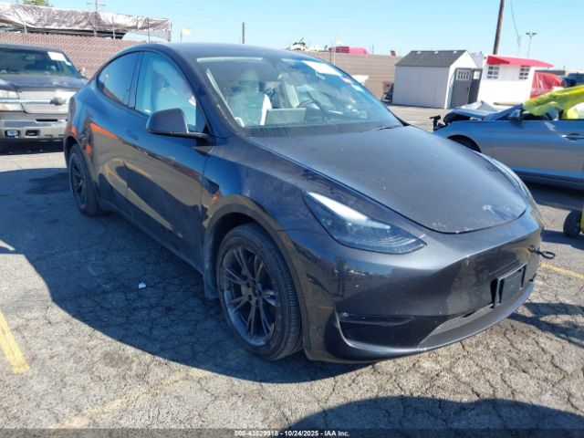 2025 TESLA MODEL Y 7SAYGDEE6SF287880