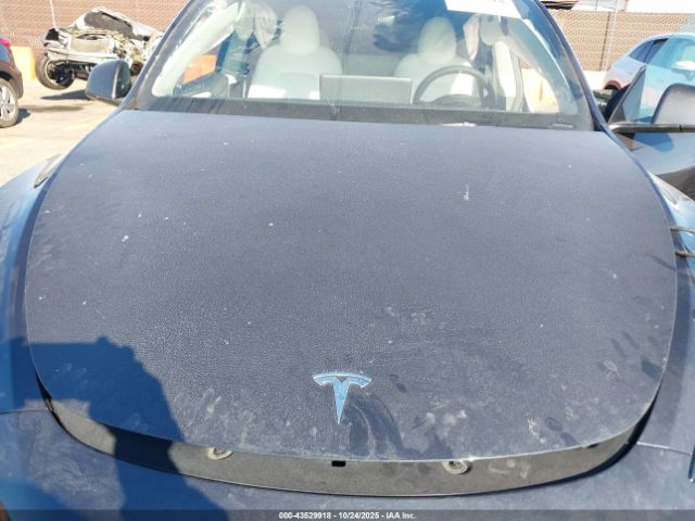 2025 TESLA MODEL Y 7SAYGDEE6SF287880 Photo 9