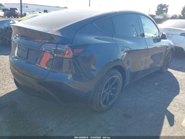 2025 TESLA MODEL Y 7SAYGDEE6SF287880 Photo 3