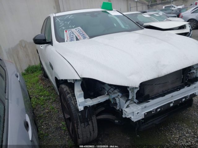 2024 JAGUAR F-PACE SADCT2EX7RA724950 Photo 0