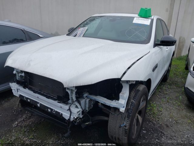 2024 JAGUAR F-PACE SADCT2EX7RA724950 Photo 1