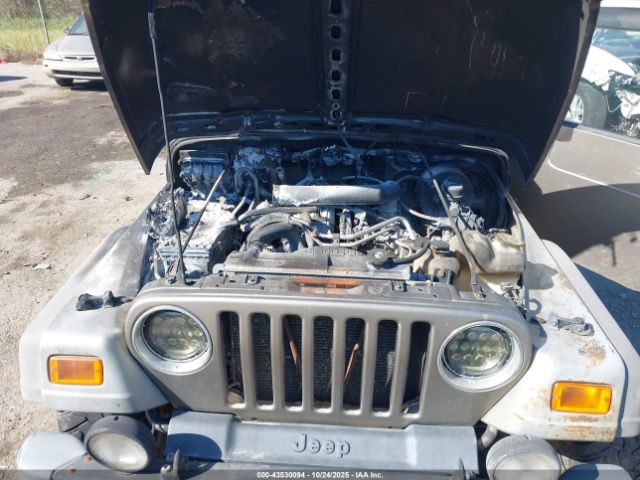 2006 JEEP WRANGLER 1J4FA44S36P713494 Photo 9