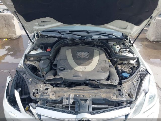 2010 MERCEDES-BENZ E 550 WDDKJ7CB8AF043565 Photo 9