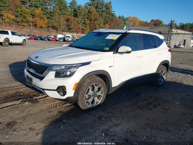 KIA SELTOS EX 2021 KNDERCAA1M7151396 Image 2