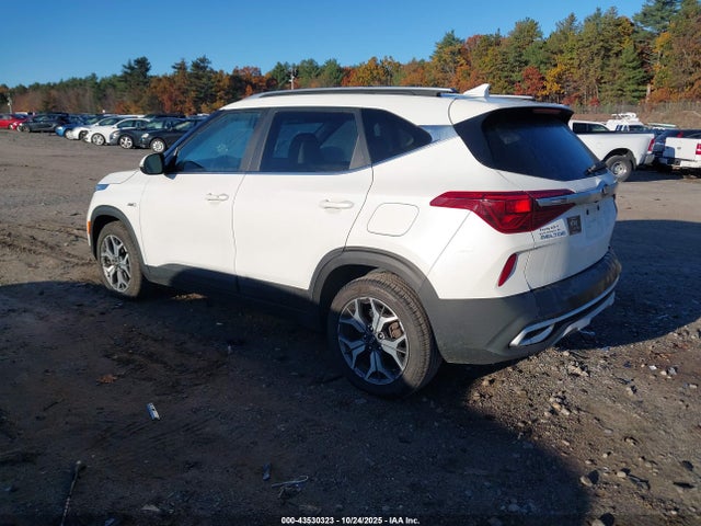 KIA SELTOS EX 2021 KNDERCAA1M7151396 Image 3