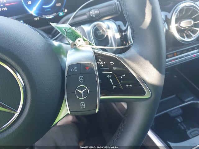 2024 MERCEDES-BENZ EQB 250 SUV W1N9M0CB4RN098533 Photo 10
