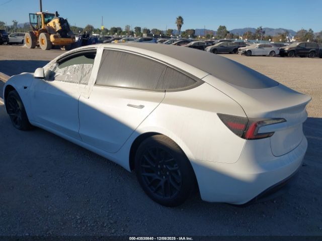 2024 TESLA MODEL 3 5YJ3E1EA7RF732484 Photo 2