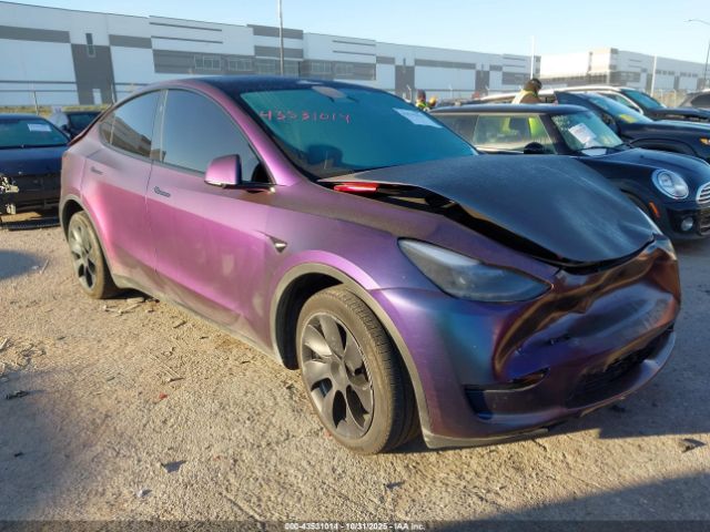 2024 TESLA MODEL Y 7SAYGDEE8RA232743
