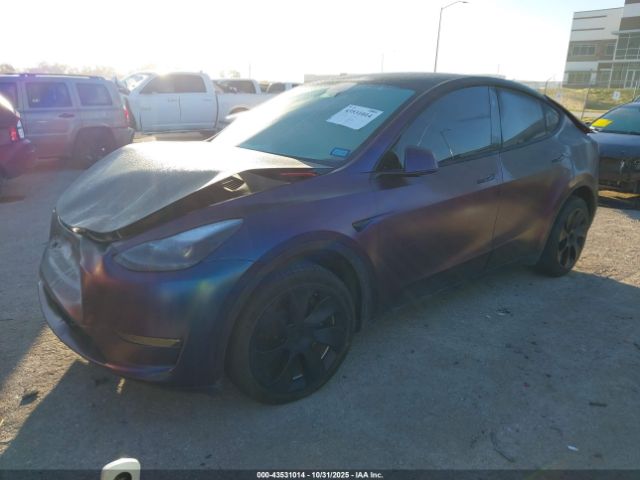 2024 TESLA MODEL Y 7SAYGDEE8RA232743 Photo 1