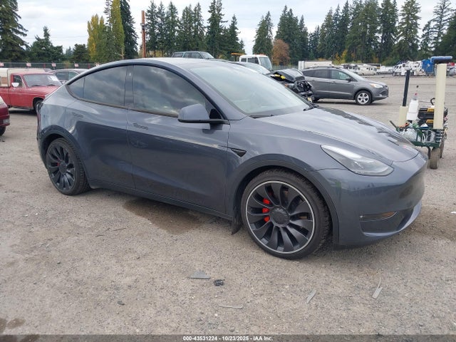 2023 TESLA MODEL Y 7SAYGDEFXPF713361