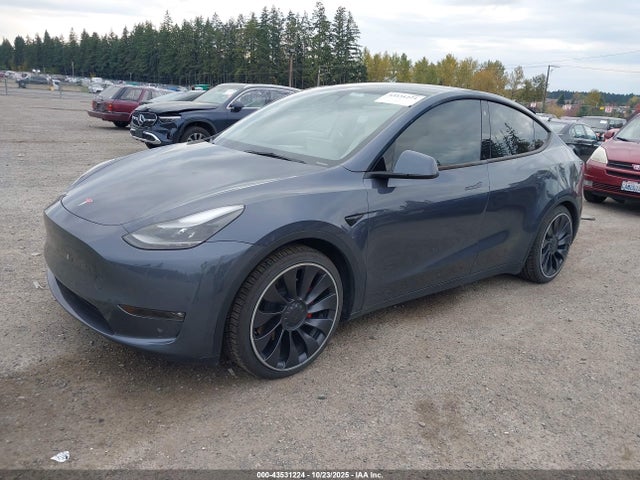 2023 TESLA MODEL Y 7SAYGDEFXPF713361 Photo 1