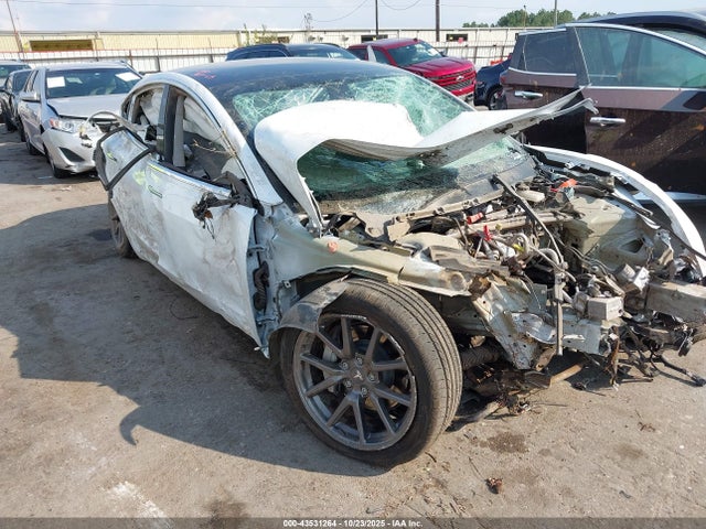 2019 TESLA MODEL 3 5YJ3E1EB3KF437252 Photo 0