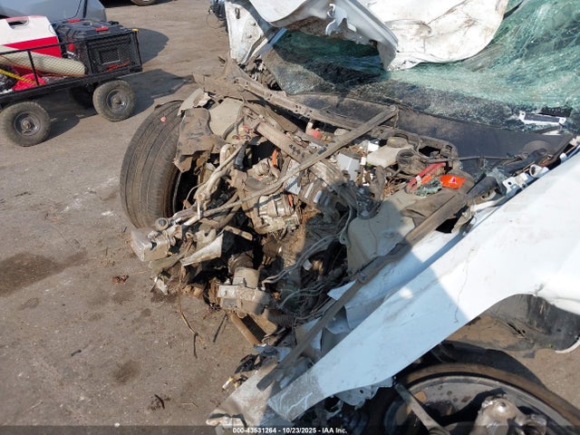 2019 TESLA MODEL 3 5YJ3E1EB3KF437252 Photo 9