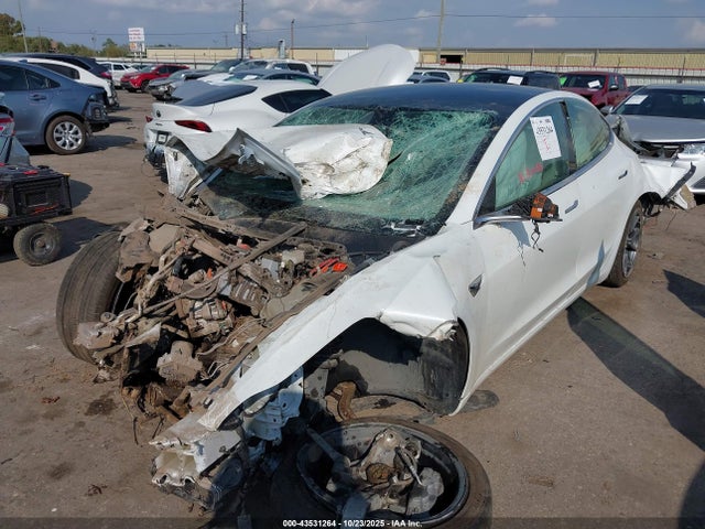 2019 TESLA MODEL 3 5YJ3E1EB3KF437252 Photo 1