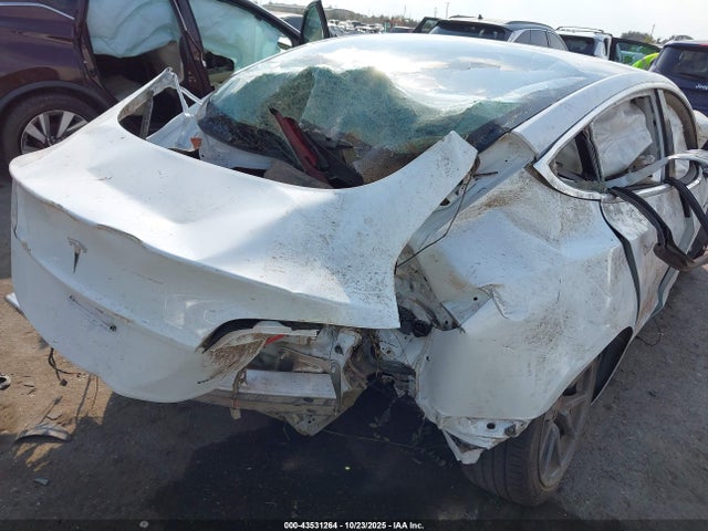 2019 TESLA MODEL 3 5YJ3E1EB3KF437252 Photo 5