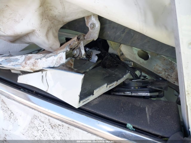 2019 TESLA MODEL 3 5YJ3E1EB3KF437252 Photo 7