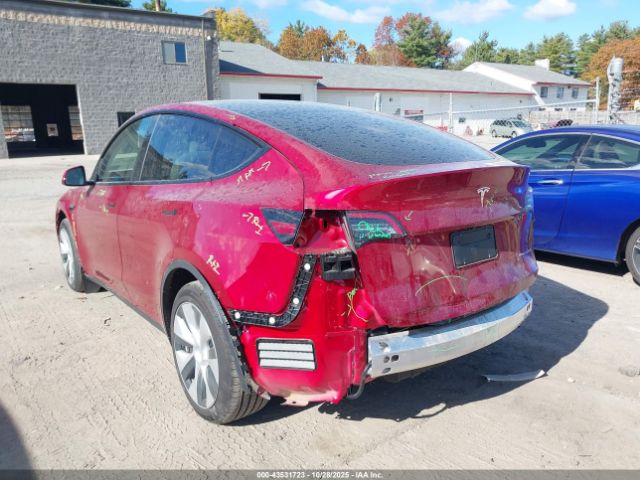 2024 TESLA MODEL Y 7SAYGDEE5RF034978 Photo 2