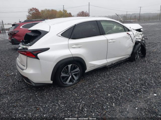 2021 LEXUS NX 300H JTJGJRDZ6M5013804 Photo 3
