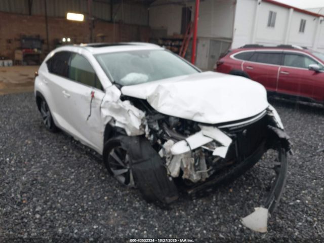 2021 LEXUS NX 300H JTJGJRDZ6M5013804 Photo 5