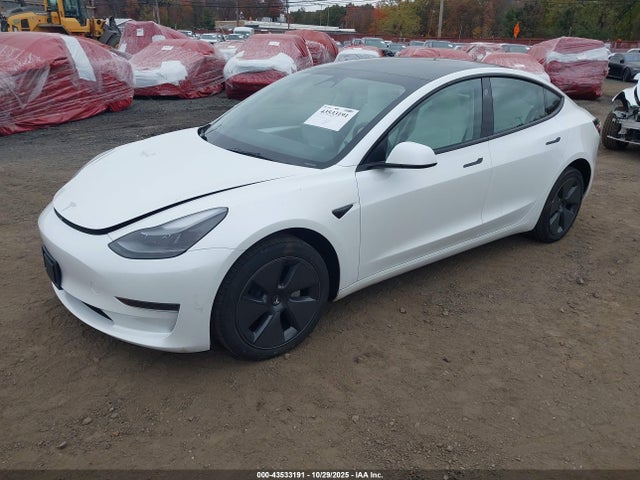 2023 TESLA MODEL 3 5YJ3E1EA9PF568622 Photo 1