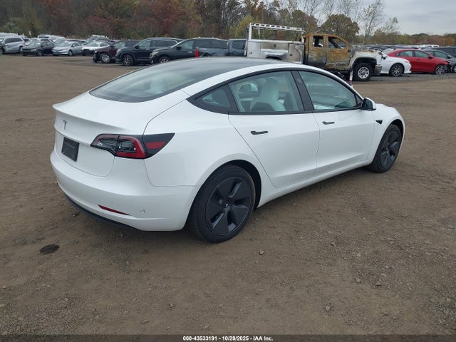 2023 TESLA MODEL 3 5YJ3E1EA9PF568622 Photo 3