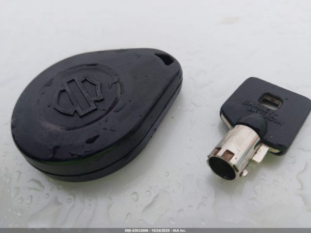 2023 HARLEY-DAVIDSON FLHX 1HD1KBC11PB628340 Photo 10