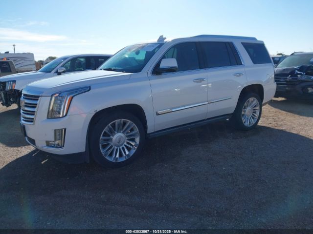 2016 CADILLAC ESCALADE 1GYS4DKJ2GR166160 Photo 1