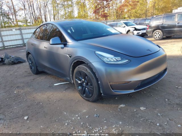 2020 TESLA MODEL Y 5YJYGDEE1LF037283