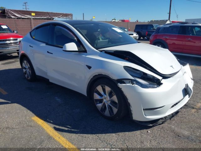 2023 TESLA MODEL Y 7SAYGAEEXPF591848