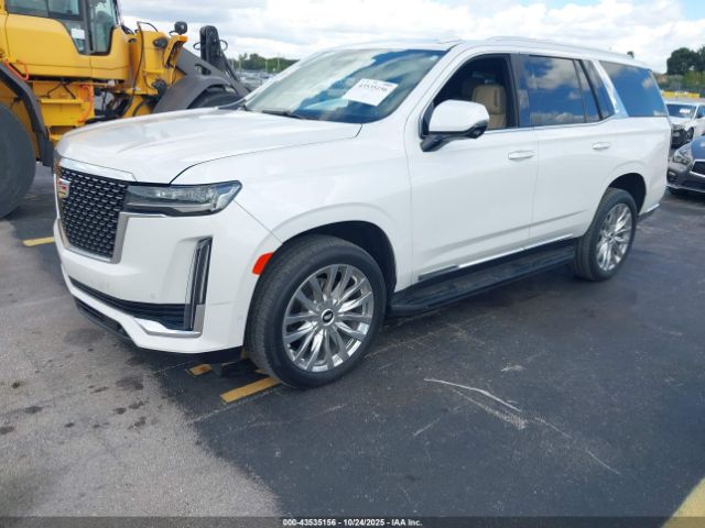 2023 CADILLAC ESCALADE 1GYS4BKL2PR345319 Photo 1