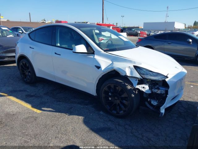 2023 TESLA MODEL Y 7SAYGDEE8PA145812 Photo 0