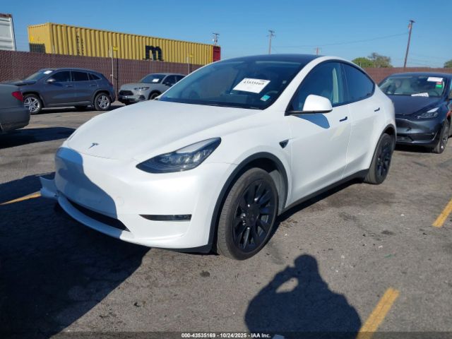 2023 TESLA MODEL Y 7SAYGDEE8PA145812 Photo 1