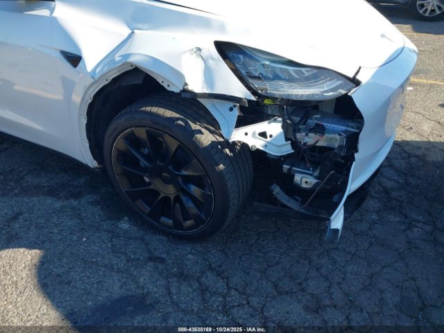 2023 TESLA MODEL Y 7SAYGDEE8PA145812 Photo 5
