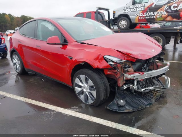 2023 TESLA MODEL Y 7SAYGDEE7PA151651 Photo 0