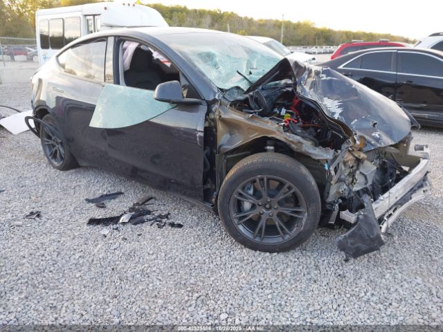 2025 TESLA MODEL Y 7SAYGDEEXSF224278 Photo 0