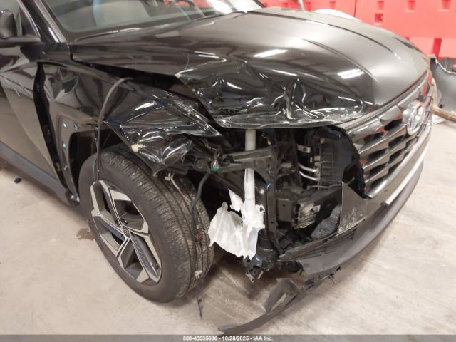 2024 HYUNDAI TUCSON 5NMJF3DE0RH354348 Photo 5