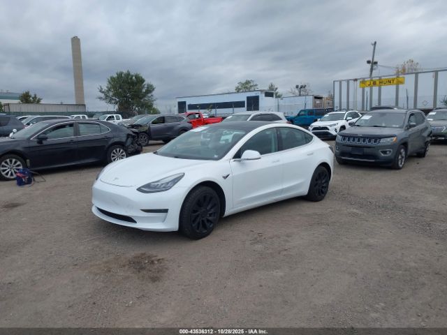 2020 TESLA MODEL 3 5YJ3E1EA8LF505067 Photo 1