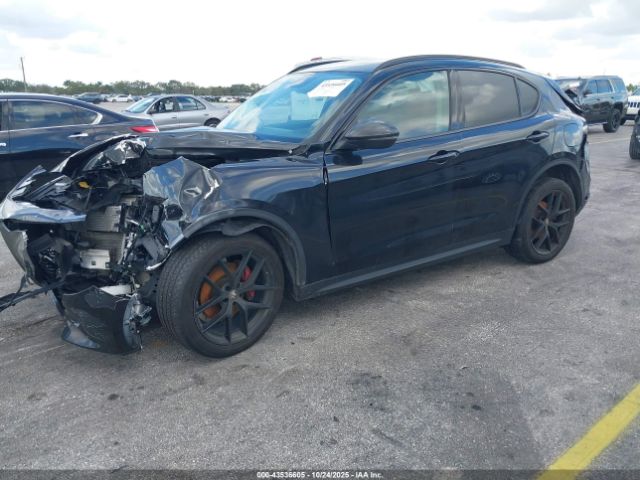 2019 ALFA ROMEO STELVIO ZASPAJAN8K7C63768 Photo 1