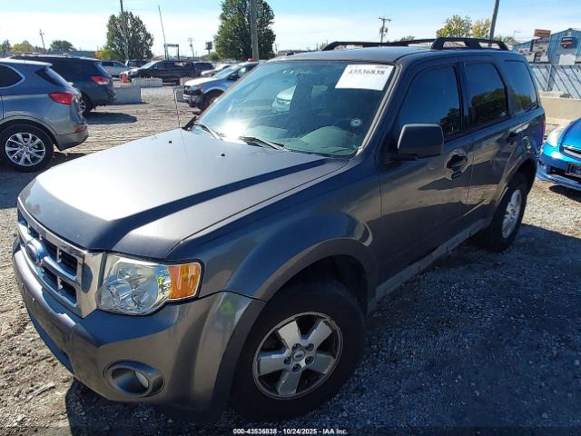 2009 FORD ESCAPE 1FMCU037X9KC47825 Photo 1